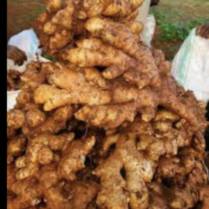 🌿 Fresh Himalayan Ginger – Naturally Grown, Powerfully Pure